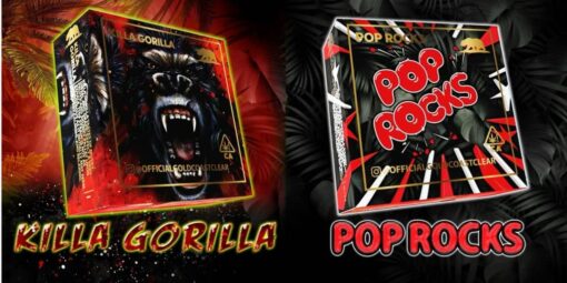 GOLD COAST CLEAR CARTS Pop rocks / Killer Gorilla Summer Edition