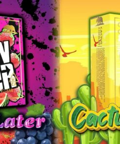 GOLD COAST CLEAR CARTS Now n Later / Cactus Cooler Summer Edition