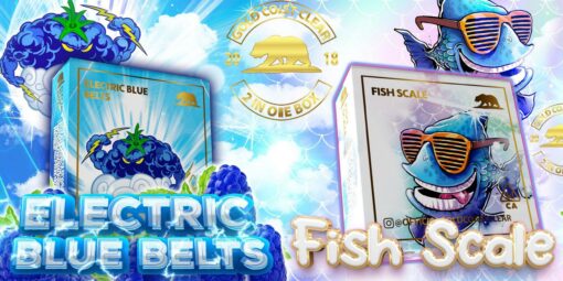 GOLD COAST CLEAR CARTS Electric Blue Belts / Fish Scale