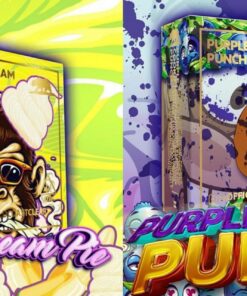 GOLD COAST CLEAR CARTS Banana Cream Pie / Purple Cookie Punch